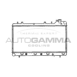 102309 AUTOGAMMA