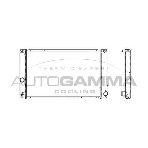 105701 AUTOGAMMA