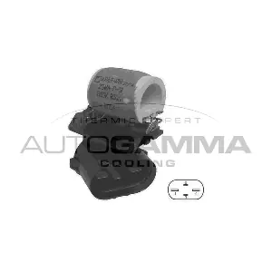 GA15671 AUTOGAMMA
