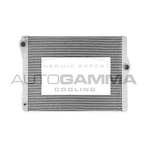 107128 AUTOGAMMA