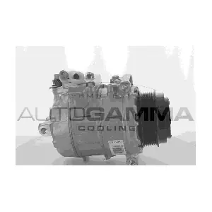 118600 AUTOGAMMA