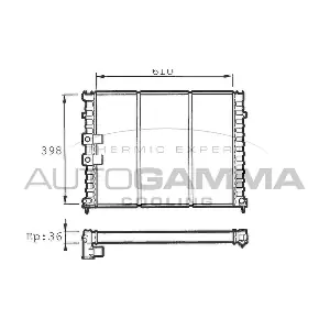 100207 AUTOGAMMA