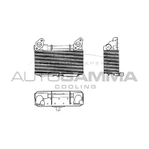 303712 AUTOGAMMA