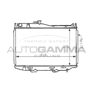 101004 AUTOGAMMA