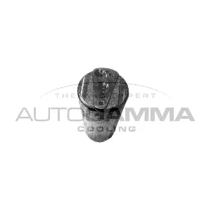 AUTOGAMMA 106243
