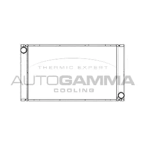 105530 AUTOGAMMA