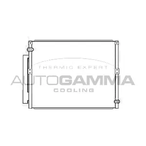 105553 AUTOGAMMA