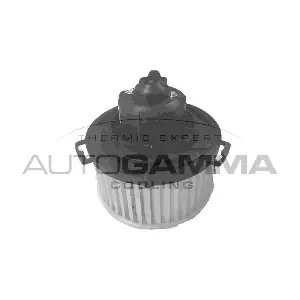 GA38300 AUTOGAMMA