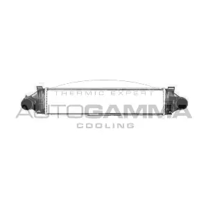 107601 AUTOGAMMA