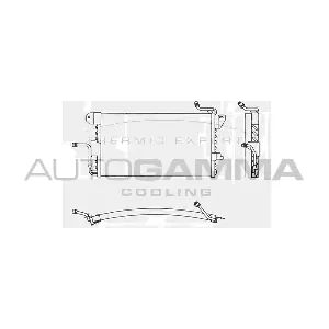 101604 AUTOGAMMA
