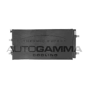 107079 AUTOGAMMA