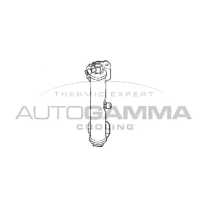 106032 AUTOGAMMA