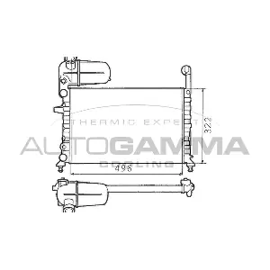 100307 AUTOGAMMA