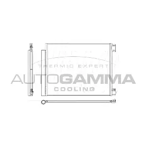 110007 AUTOGAMMA