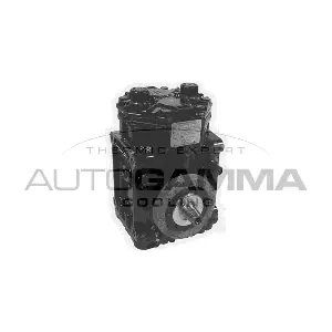 108066 AUTOGAMMA