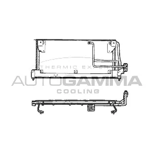 101709 AUTOGAMMA