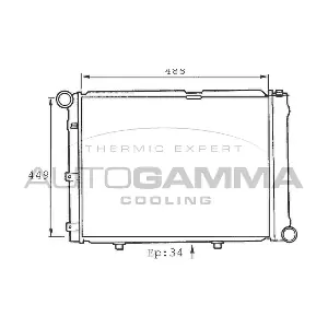 100516 AUTOGAMMA
