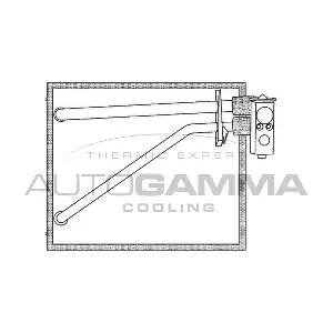 112109 AUTOGAMMA