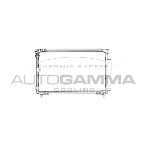 102808 AUTOGAMMA