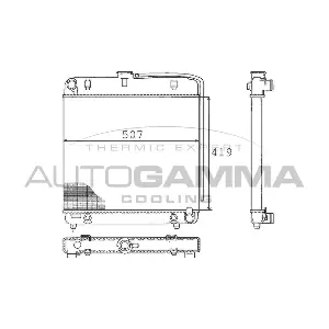100531 AUTOGAMMA