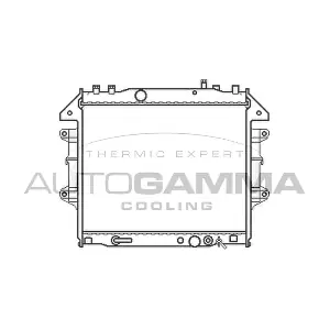 105417 AUTOGAMMA