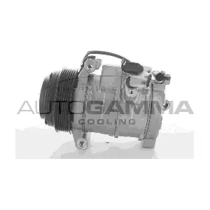 118455 AUTOGAMMA