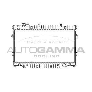102365 AUTOGAMMA