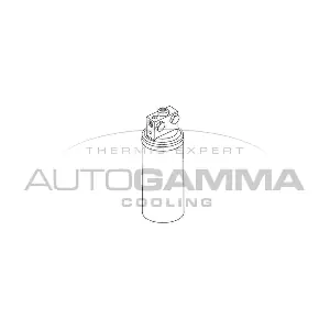 106075 AUTOGAMMA