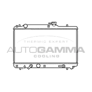 102323 AUTOGAMMA