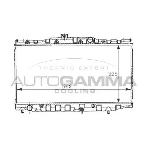 101013 AUTOGAMMA