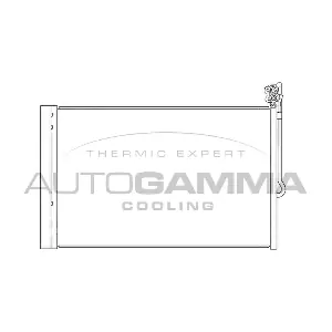 AUTOGAMMA 105975