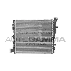 107421 AUTOGAMMA
