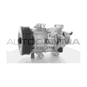 118410 AUTOGAMMA