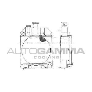 AUTOGAMMA 403984 Радіатор, система охолодження двигуна