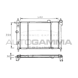100667 AUTOGAMMA