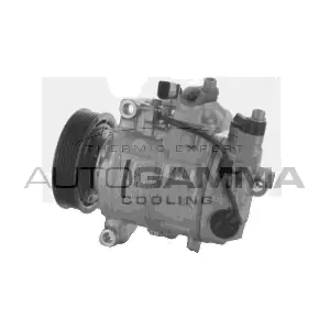 118698 AUTOGAMMA