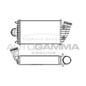 107509 AUTOGAMMA