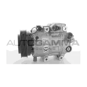 118501 AUTOGAMMA