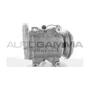 118435 AUTOGAMMA