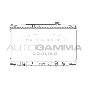 107217 AUTOGAMMA