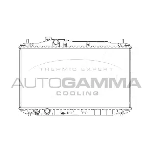105135 AUTOGAMMA