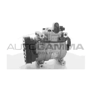 118368 AUTOGAMMA