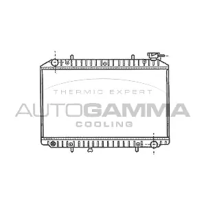 102201 AUTOGAMMA