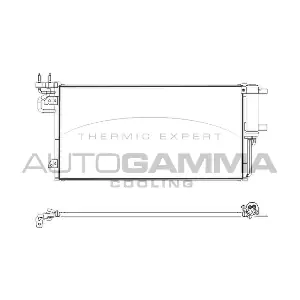 107891 AUTOGAMMA