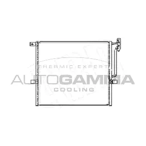 AUTOGAMMA 104974