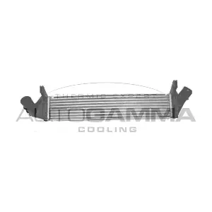 105784 AUTOGAMMA