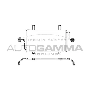 102563 AUTOGAMMA