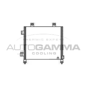 105866 AUTOGAMMA