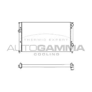 102009 AUTOGAMMA