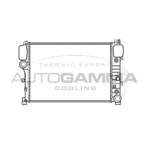 107043 AUTOGAMMA